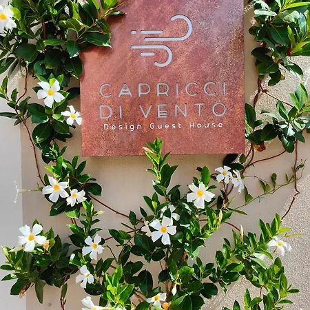 Capricci Di Vento - Design * La Maddalena (Sassari)